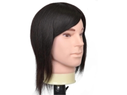 Cabeça de Manequim Masculina com Cabelo Humano, Barba e Cabelo, para Treinamento em Cabeleireiro. SFUSHOS