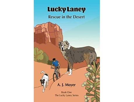 Livro Rescue In The Desert De A J Moyer (inglês)