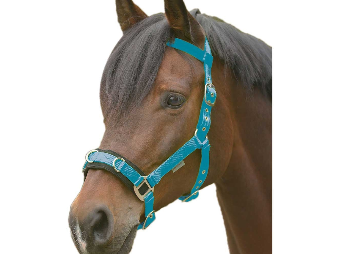 Halter&Lead Economic Verde Fullwaldhausen