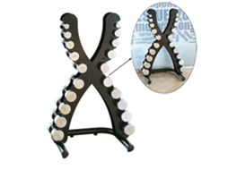 Suporte Para Halteres Softee 1 10 Kg Com Halteres Cromados