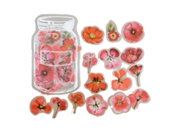 Adesivos Decorativos Pet com Flores Vermelhas | S/MARCA