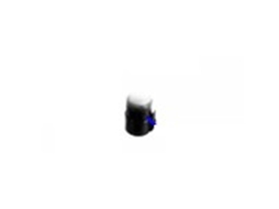 Conector Da Mangueira Asp. Polti C3053960