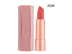 Labial Mate De Terciopelo De Longa Duração Hidratante Gloss Labial Ferramenta De Maquiagem 3.8g(202)