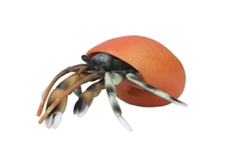 Primerox brinquedo Modelo de Caranguejo Eremita Simulado Lifelike Pvc para Coleção e Educação Científica