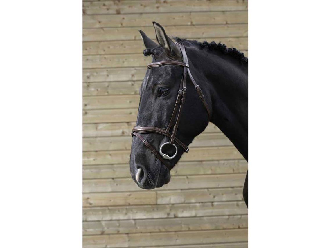 Cabresto Aparado Cinzento Cobnorton Equestrian