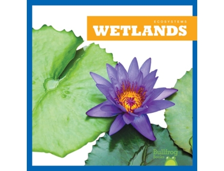 Livro Wetlands de Nadia Higgins (Inglês - Capa Dura)