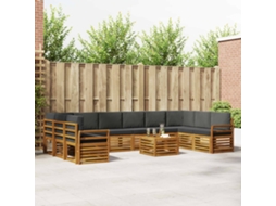 Vidaxl Conjunto De Sofás Para Exterior 11 Pcs Natural E Antracite