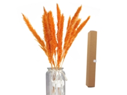 Arranjo de Pampas Grass Natural para Decoração Boho em Casa LAXISCREED