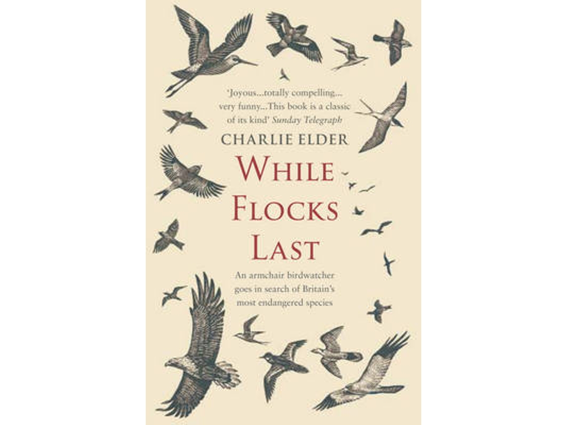 Livro While Flocks Last de Charlie Elder (Inglês)