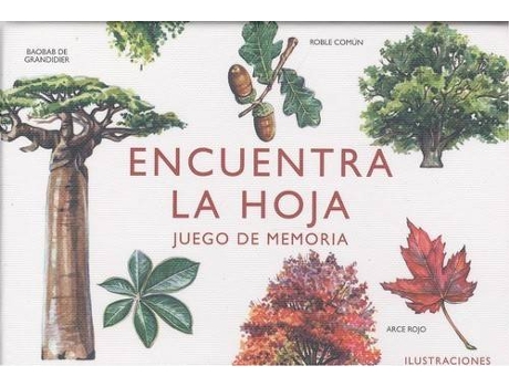 Livro Encuentra La Hoja de Holly Exley (Espanhol)