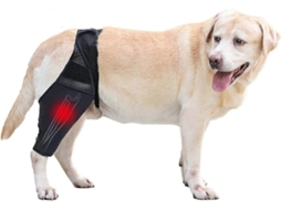 Joelheira Ajustável Para Pata Traseira De Cães Joelheiras Para Cães Para Recuperação De Luxação Patelar S Aquaforge