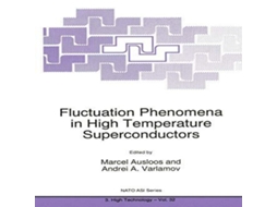 Livro Fluctuation Phenomena in High Temperature Superconductors de Springer Nature BV (Inglês)