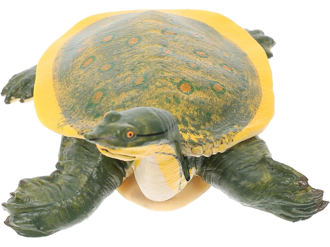 Tartaruga Marinha De Brinquedo Realista, Um Presente Educativo Para O
