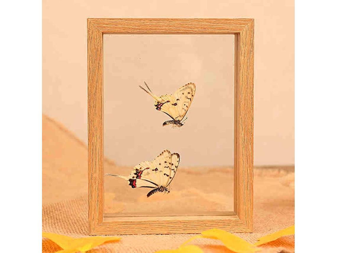 Porta-retratos dupla face em madeira e vidro multicolorido - 12,7 cm - Caixa de madeira flutuante