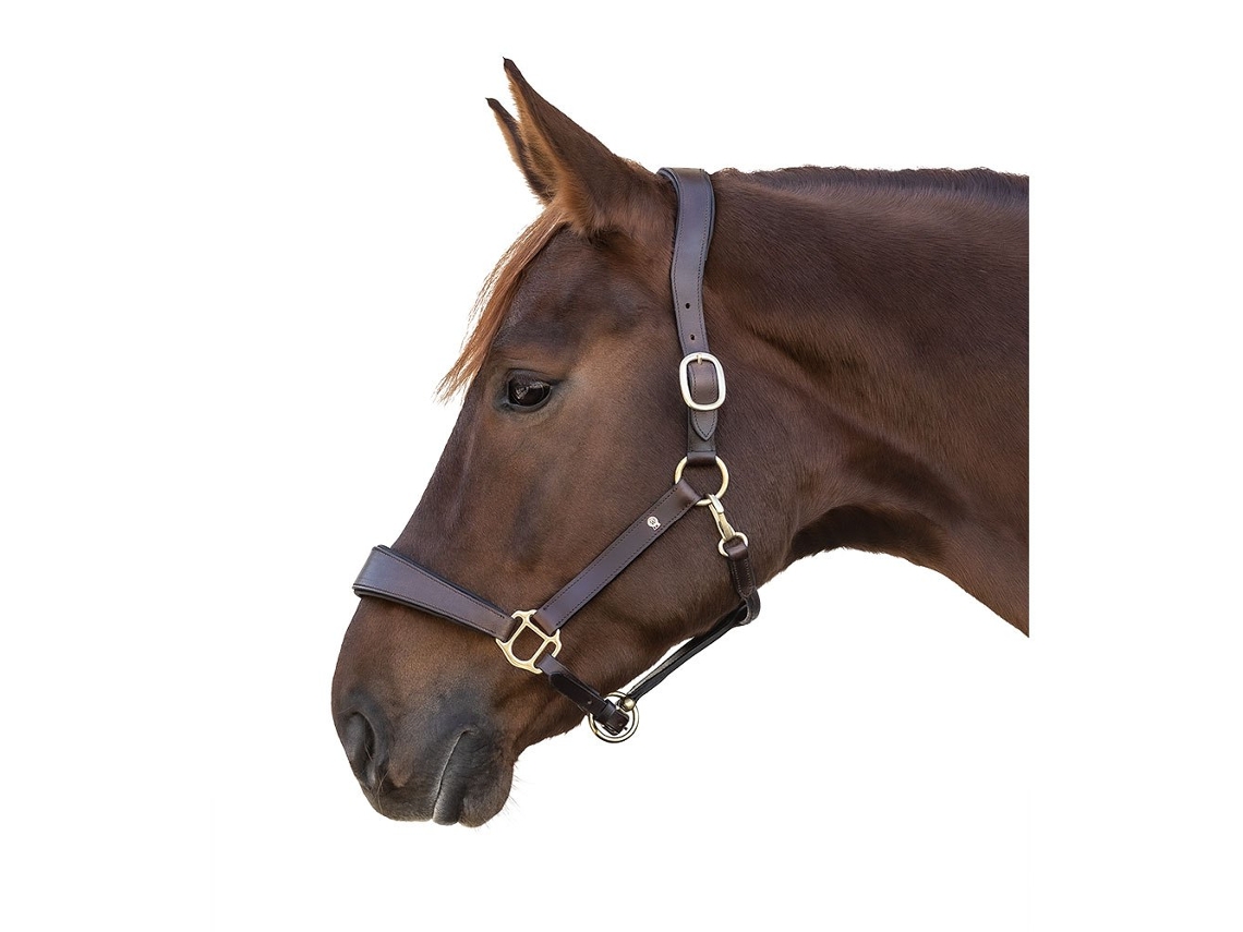 Cabeçada Leather X-Line Anatomic Castanho Cobwaldhausen