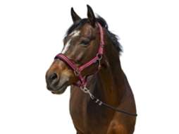 Cabeçada 4Lines Vermelho Cobnorton Equestrian