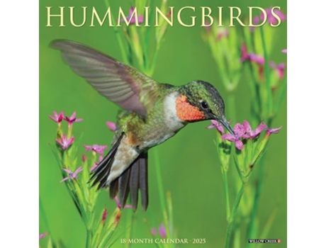 Livro Hummingbirds 2025 12 X 12 Wall Calendar de Willow Creek Press (Inglês)