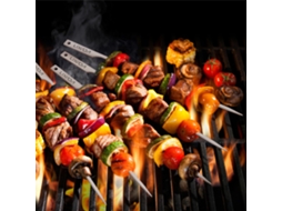 Espetos de Churrasco de Titânio Planos 10 Polegadas 5pcs