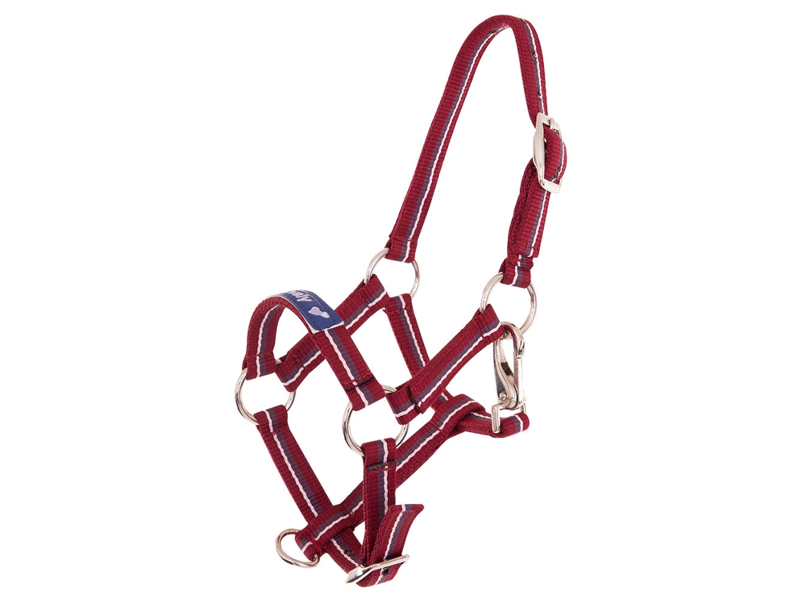 Cabresto para Potros PREMIERE Equitation Fun