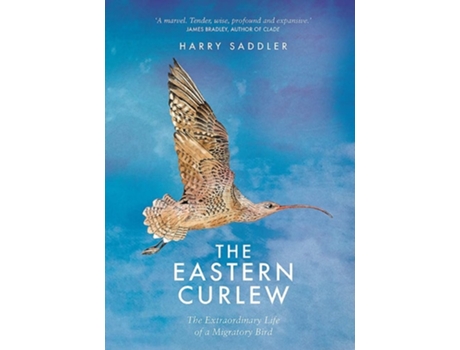 Livro The Eastern Curlew de Harry Curlew (Inglês)