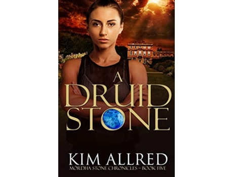 Livro A Druid Stone A Time Travel Romance Adventure de Kim Allred (Inglês)
