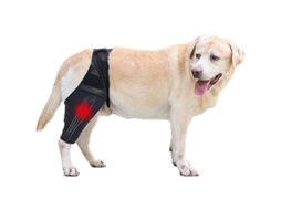 Cinta de joelho Rebe para cães com tira, suporte para fraturas e artrite, ajustável e reversível tamanho M