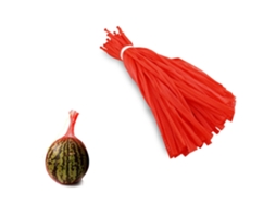 100 Sacolas De Malha Reutilizáveis, Com 30 Cm De Diâmetro, Ideais Para Frutas, Verduras, Frutos Do Mar E Para Crianças. Aquaforge