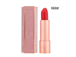 Batom Matte Aveludado Hidratante de Longa Duração, Ferramenta de Maquiagem Labial 3,8g (666)