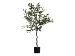 Planta Decorativa IBERGARDEN (Multicor)