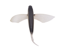 Isca Artificial Peixe Asa de Mosca 6,7in Preta