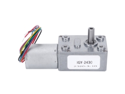 Motor de Redução de Velocidade 12v 2rpm S/MARCA