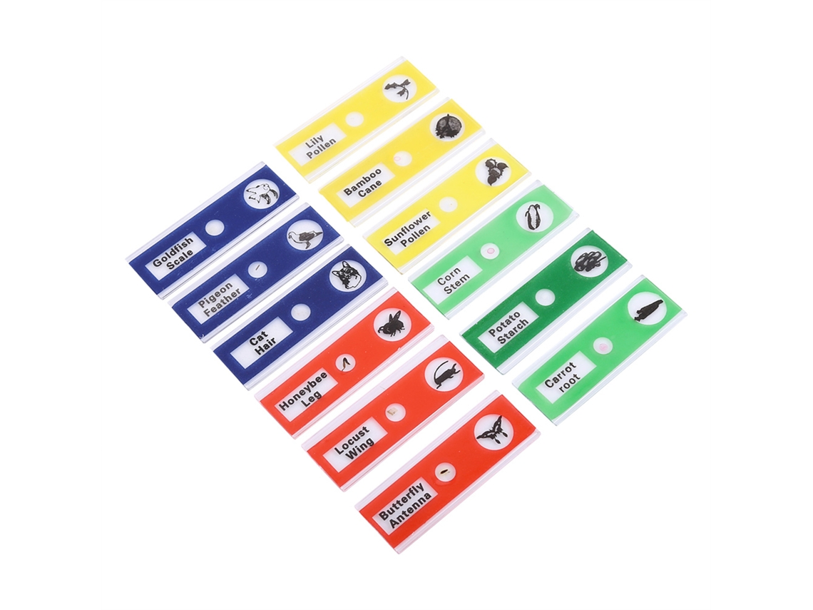 12 Lâminas para Microscópio, Kit com 4 Cores