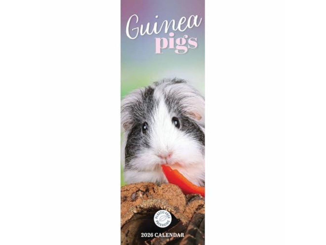 Livro Guinea Pigs Slim Calendar 2026 de CAROUSEL CALENDARS 2026 (Inglês)