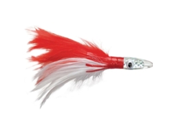 Isco WILLIAMSON Albacore Feather 6