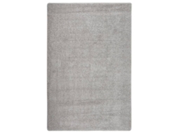 Rug, Rugs Vidaxl Cinzeto Plástico (200 X 290 Cm)