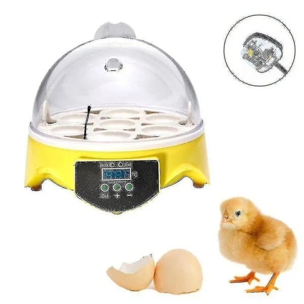 Incubadora Automática Para Aves, 7 Ovos, Com Controle De Temperatura, Chocadeira Para Pintinhos E Galinhas