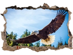 Adesivos Muraux Aigle À Tête Blanche Autocollant Adesivo Mural Para Salão De Beleza Chambre Cuisine Bureau Adulto Enfant 80x120cm