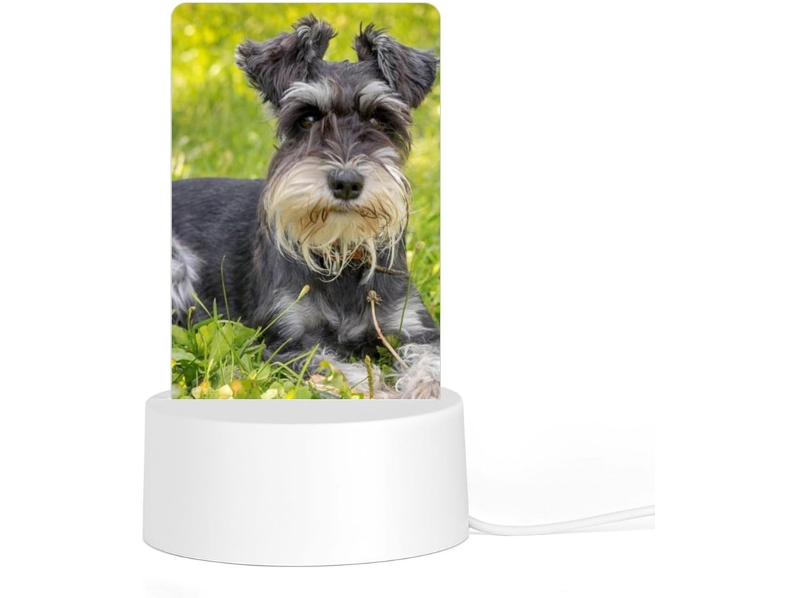 Luz noturna em miniatura, durável, resistente à ferrugem, com LEDs que não incendeiam, prática para banheiro.