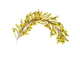 Laxiscreed Decoração De Porta Com Videira Primavera Jasmine Em Tecido De Seda, 1m
