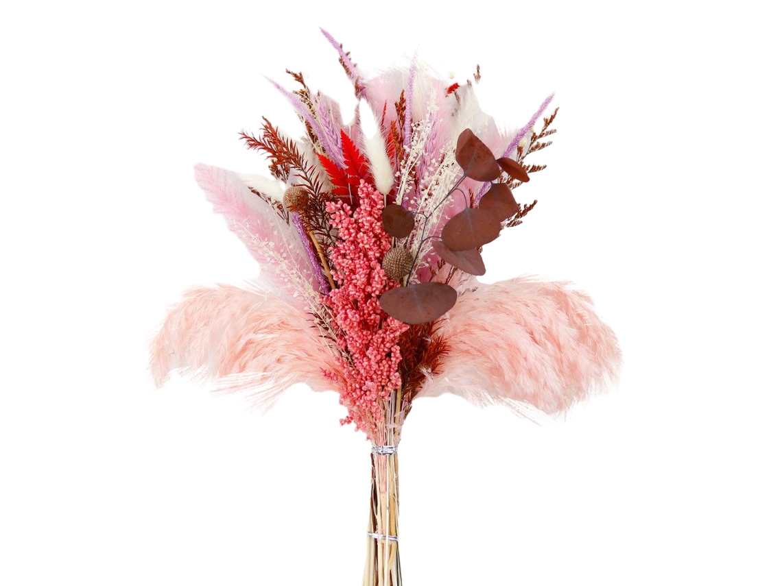 Buquê de Flores Secas Pampas Pink LAXISCREED