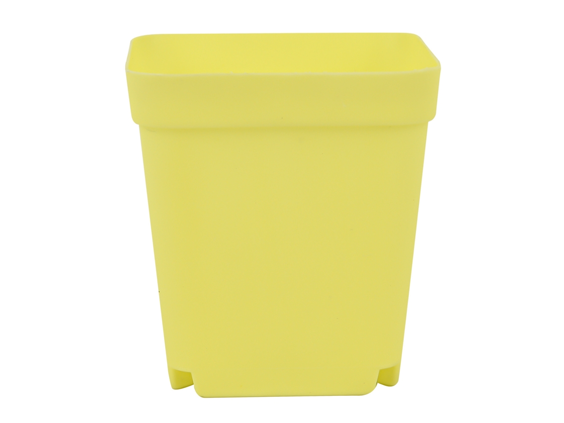 Vaso de Suculenta com Buracos de Drenagem Primerox para Jardim e Varanda