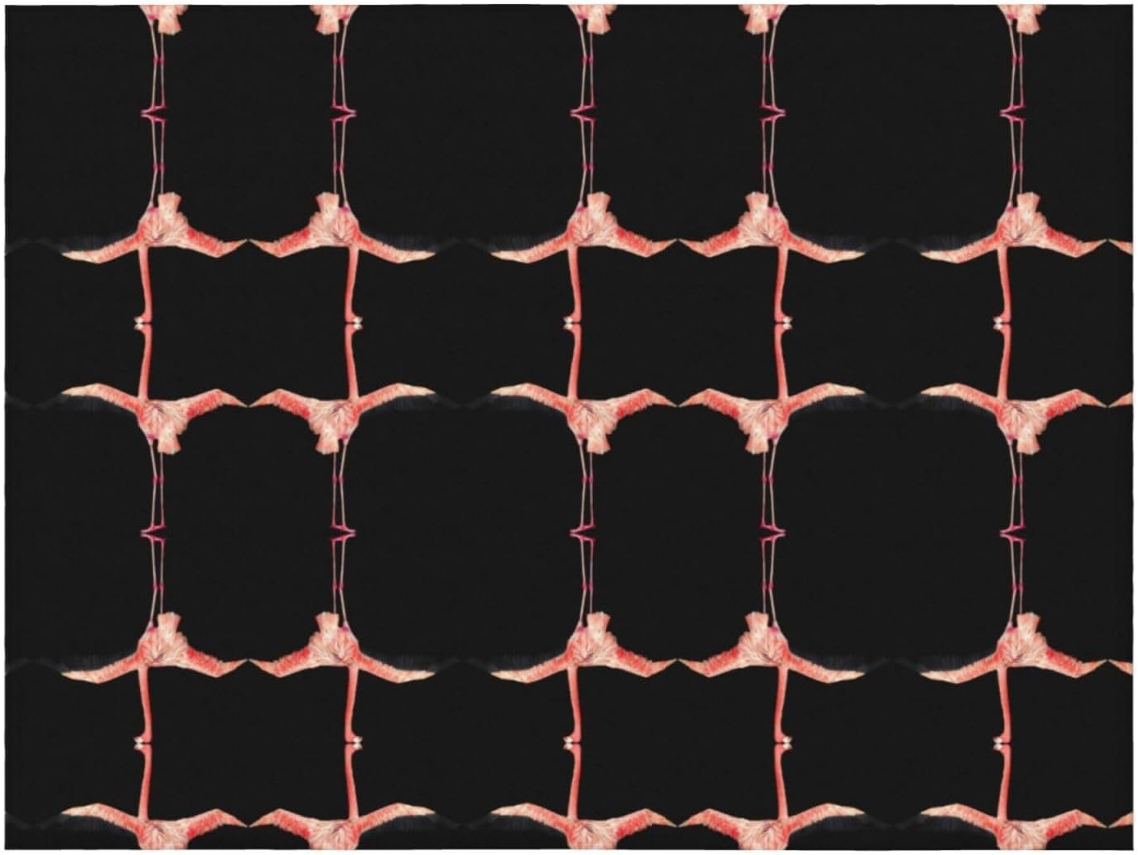 Colcha de Flanela Macia e Aconchegante com Estampa Flamingos Ideal para Sofá Ou Quarto 127 X 101 6 Cm, Macio,