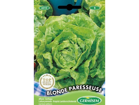 Sementes  Alface Repolho Blonde Paresseuse