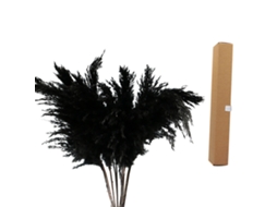 Laxiscreed Reed De 45cm Para Revestimento Com Embalagem De 45x5x7 Cm