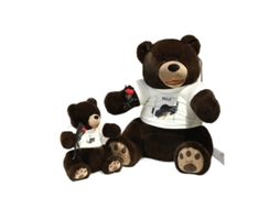 Ursinho Teddy de Pelúcia com Camiseta de Rosa Presente de Amor para o Dia Dos Namorados Marrom CHABERLU