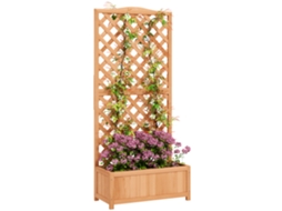 Vaso Fioriera Traliccio BTFORUS em madeira de abeto, 76x36x170 cm