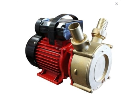 Bomba de transferência Bricoferr 65 L/min