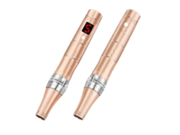 Máquina de Tratamento Facial Ydcy /0825-H28 Dourado
