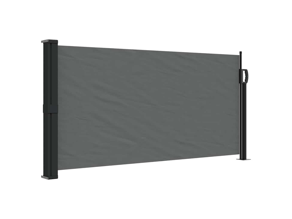 Toldo lateral retrátil VIDAXL antracite