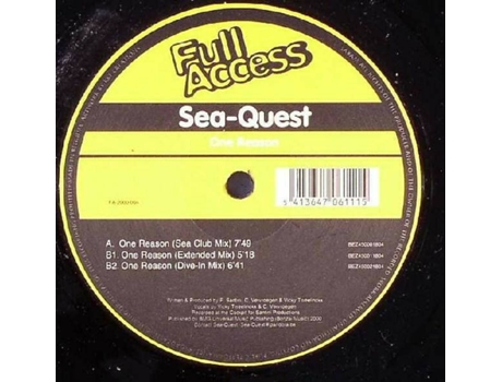 Vinil One Reason Full Access